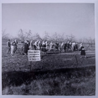 Occupazione terreni azienda agricola Bacci, Mezzano. Novembre 1969