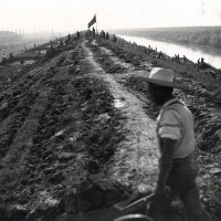 La sezione del PCI di Poggio Renatico durante i lavori per la riparazione degli argini del Reno dopo l'esondazione, 1952